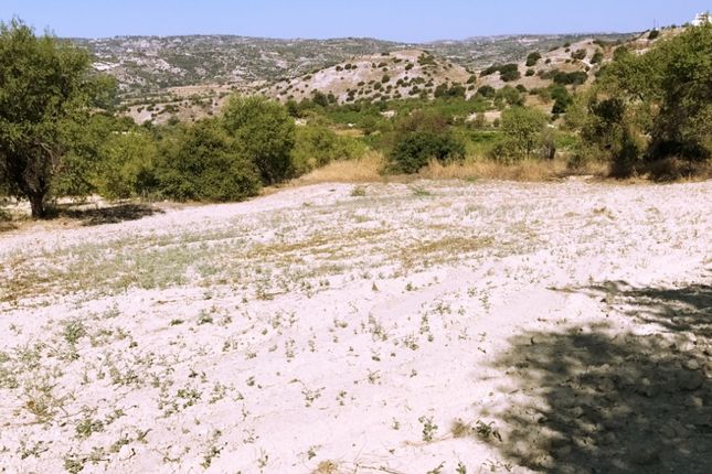 Land for sale in Lemona, Paphos, Cyprus