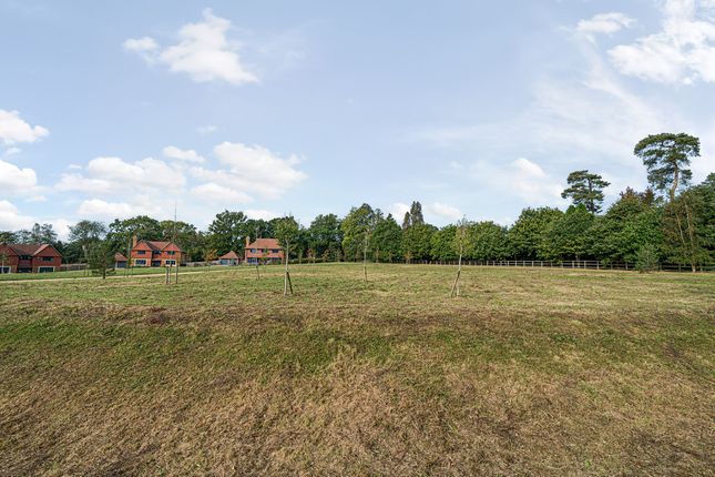 Detached house for sale in Sunte Park, Haywards Heath