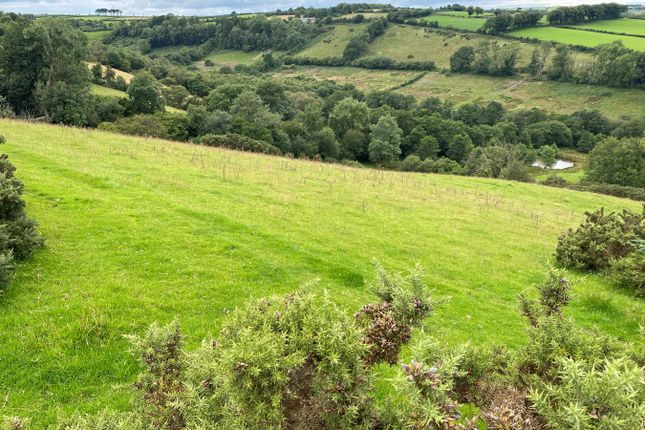Thumbnail Land for sale in Drefach, Near Lampeter