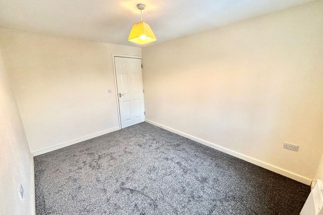 7, Sheffield photo 5
