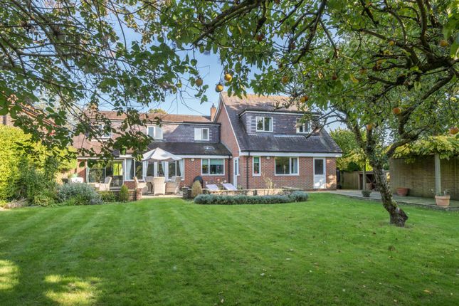 Thumbnail Detached house for sale in Rectory Lane, Meonstoke