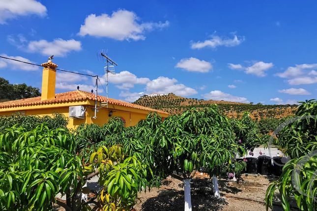 Country house for sale in Vélez-Málaga, Axarquia, Andalusia, Spain