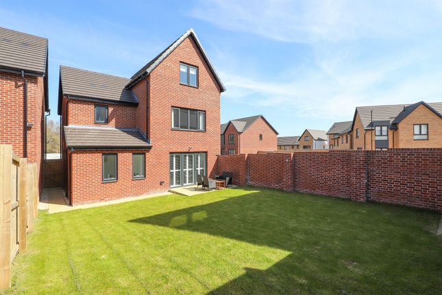 7 Tawny Drive, Sheffield photo 2