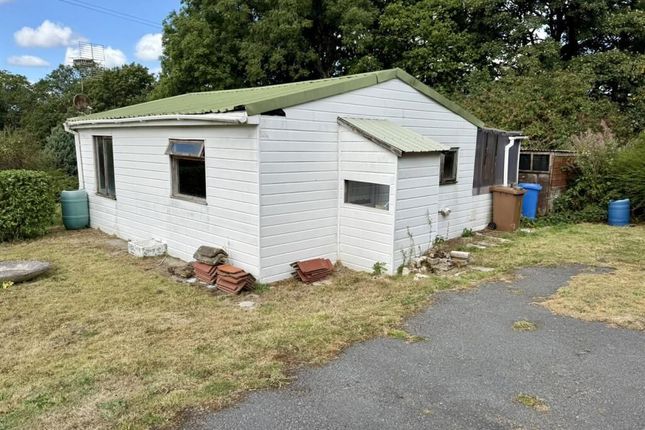 Caeshedrem, Cwmann, Lampeter photo 4