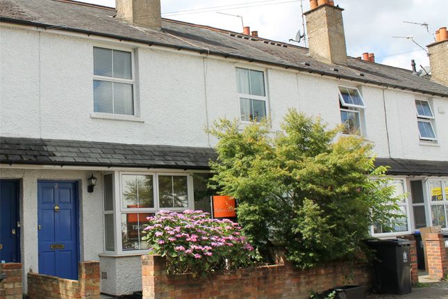 Terraced house to rent in Pinewood Close, Gerrards Cross, Buckinghamshire
