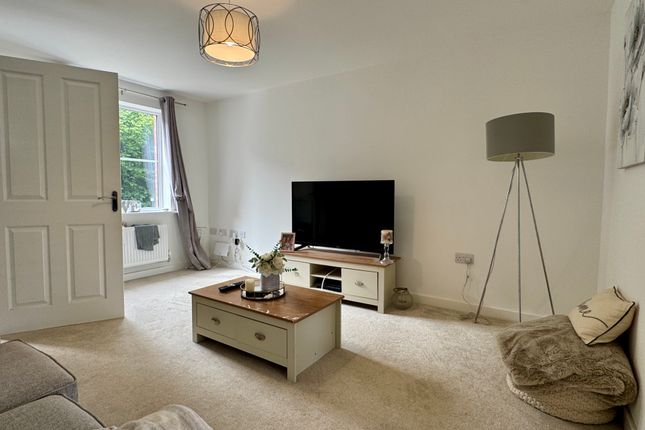 20, Carmarthen photo 5