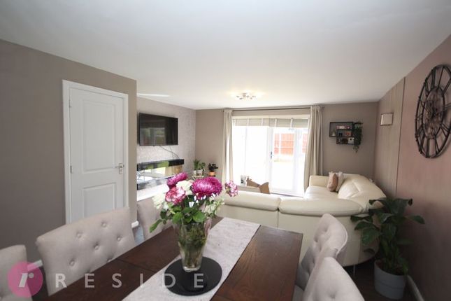 Lounge / Dining Area