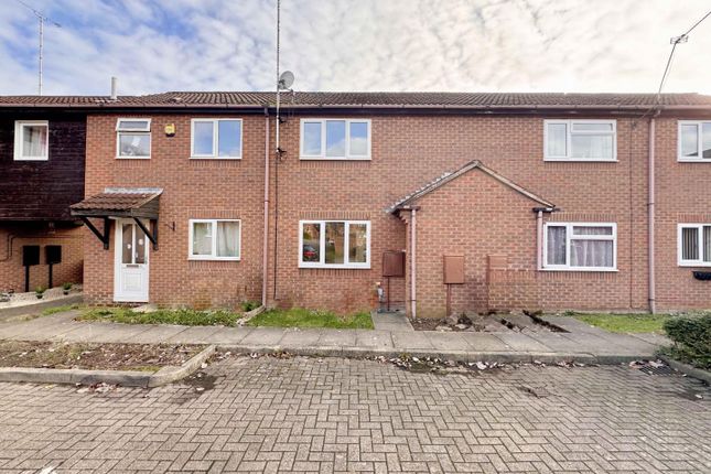 Img_E1602 - Copy.Jpg