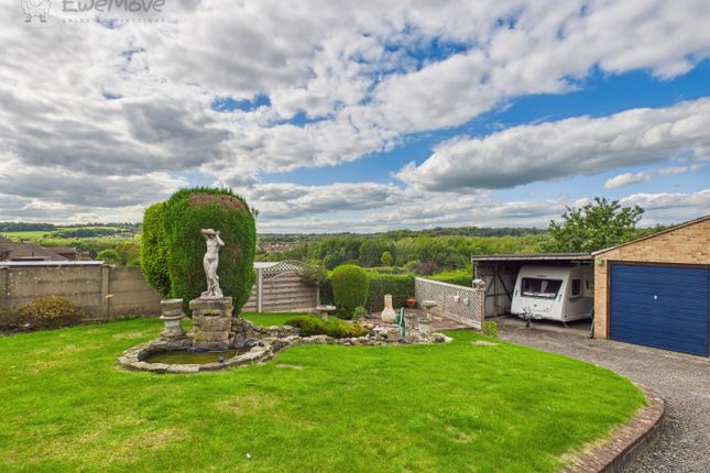 Cam05065G0-Pr0011-Still032