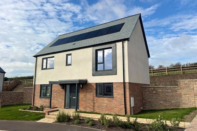 Plot 12, Belstone View,, Belstone View, Crediton photo 2