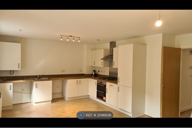Thumbnail Detached house to rent in Horseshoe Drive, Newton Abbot