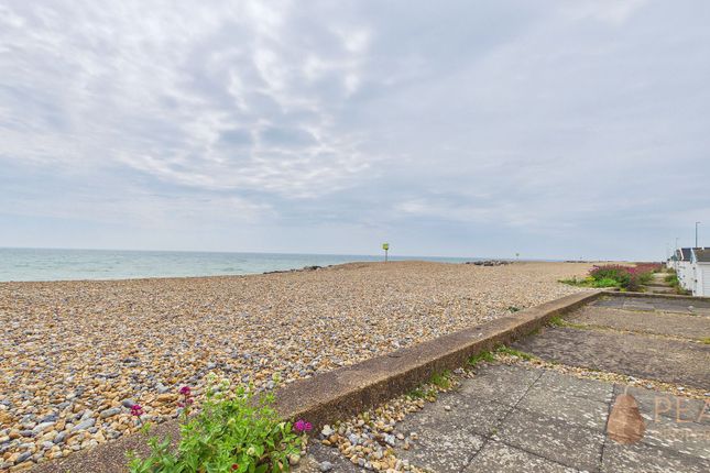 Hut 41 West Beach, Lancing photo 3
