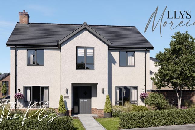 Lm The Plas External.Jpg