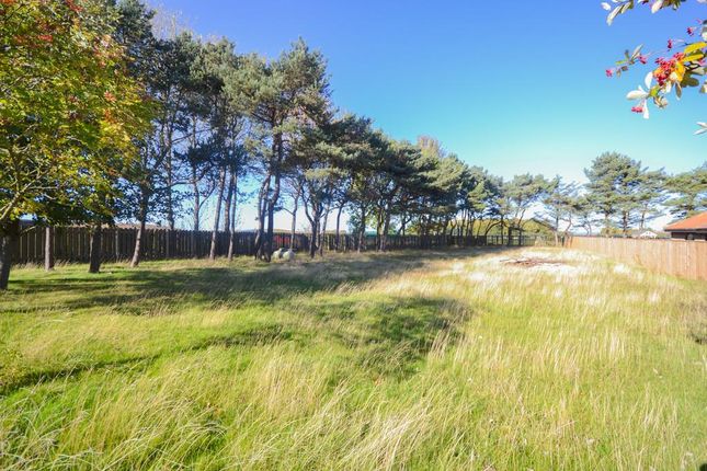 Thumbnail Land for sale in Guisborough Road, Saltburn-By-The-Sea