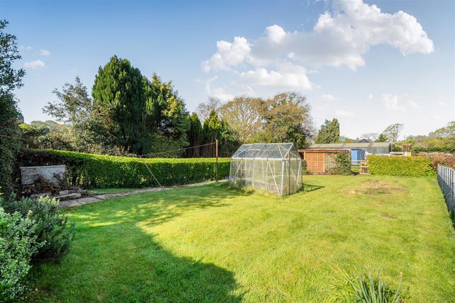 Sunnyside Cottage, Abbotswell Road, Blissford photo 4