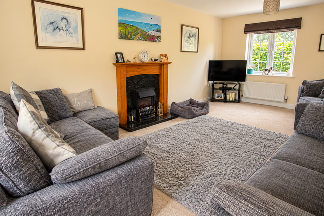 45 Post Coach Way, Cranbrook, Exeter photo 4