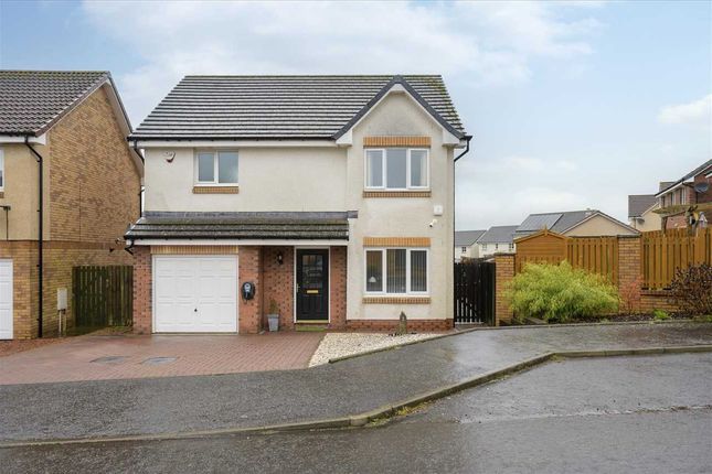 Thumbnail Detached house for sale in Cochrane Grove, Redding, Falkirk