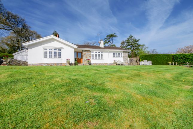 Detached bungalow for sale in Crackington Haven, Bude