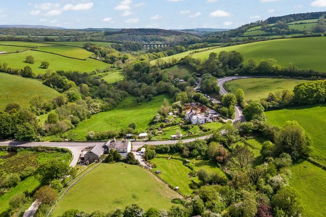 Lumburn Farm, Tavistock photo 4