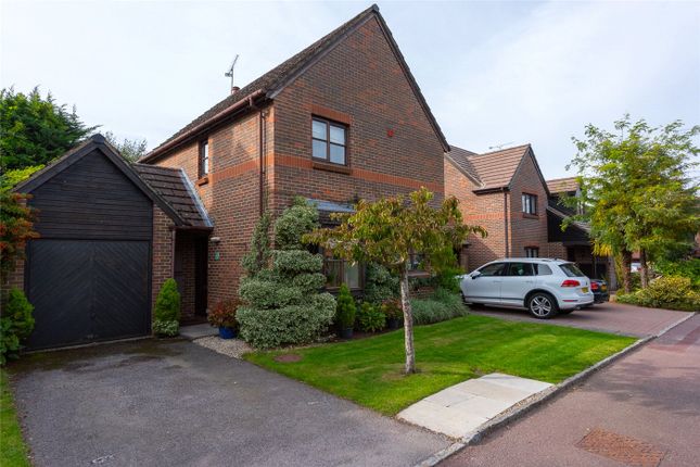 Thumbnail Detached house to rent in Bishops Drive, Wokingham, Berkshire