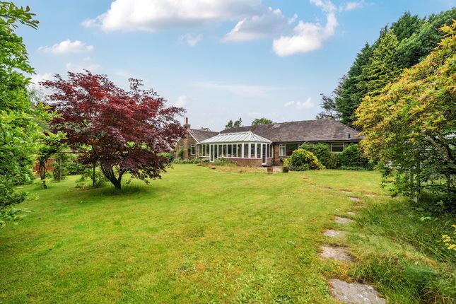 29, Pine Bank, Hindhead photo 4