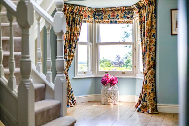 Front Window