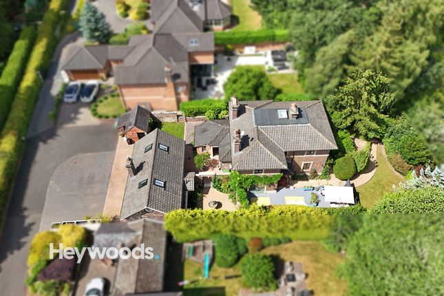 Dji_20250626152614_0008_D