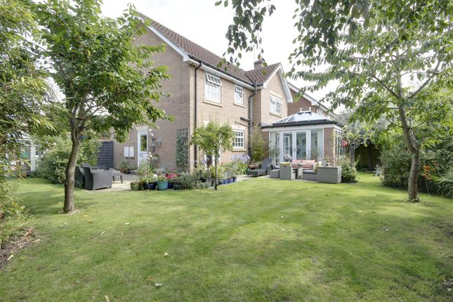 Rear View Of Property
