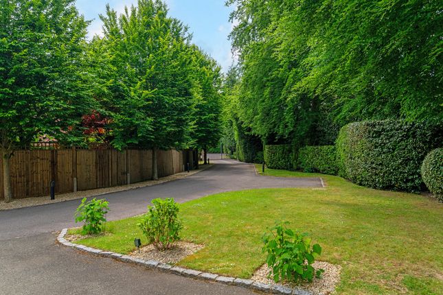 102, Gregories Road, Beaconsfield photo 3