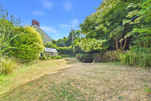 Willowbank, Swansea photo 3