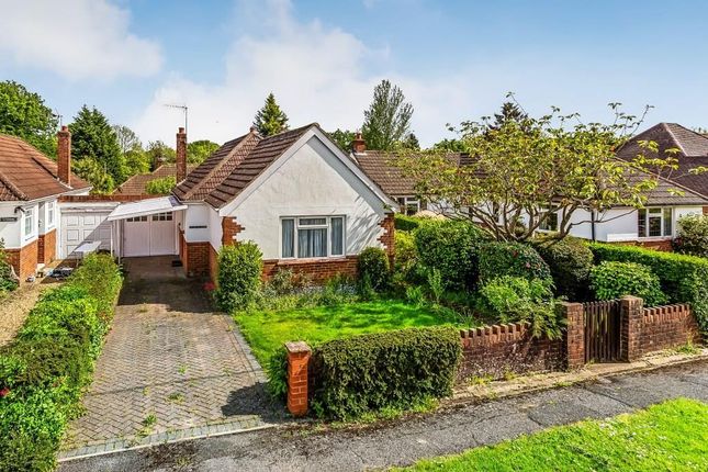 Thumbnail Bungalow for sale in Springwell Road, Beare Green