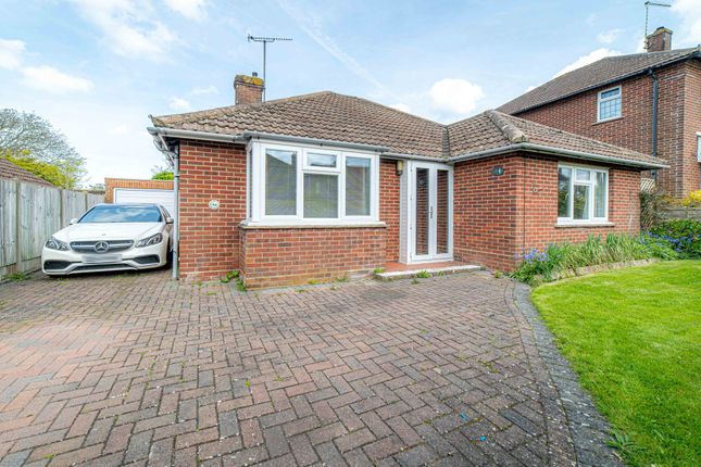 Thumbnail Detached bungalow for sale in The Foreland, Canterbury
