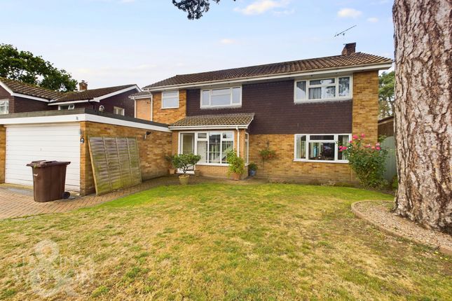 Thumbnail Detached house for sale in Hall Hills, Roydon, Diss