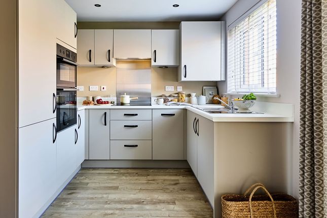 The Braxton - Plot 266, Millbrook Place, Basford Brook Way, Crewe photo 3