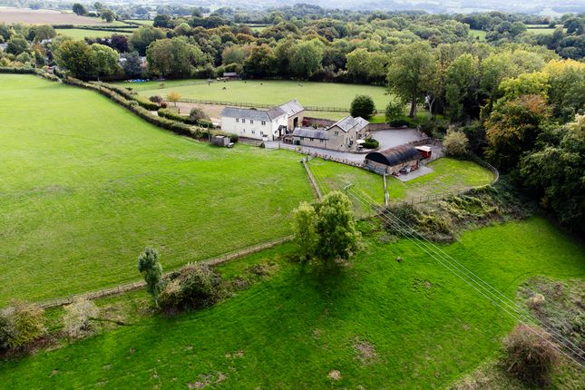 Edge Hill Farm-81