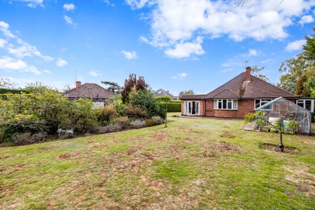 Thumbnail Detached bungalow for sale in Ref: Sb - Canada Road, Cobham