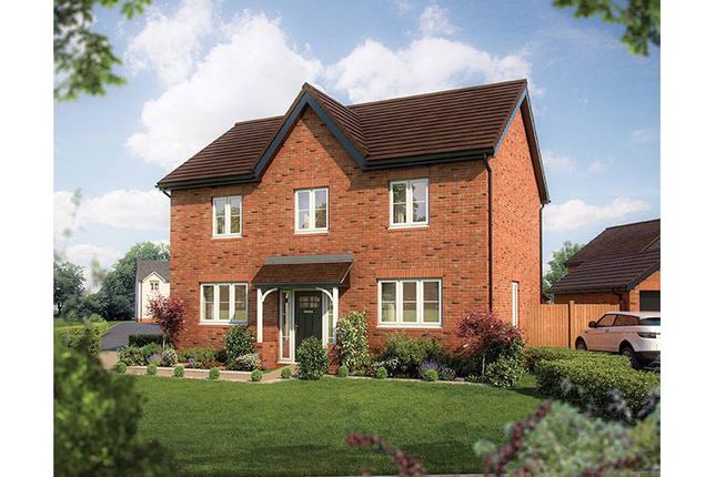 Thumbnail Property for sale in "Chestnut" at Sutton Road, Shrewsbury