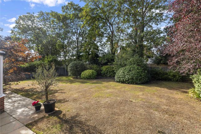 4, Boundary Park, Weybridge photo 4
