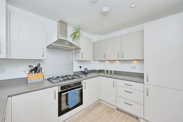 2, George Close, Norwich photo 4