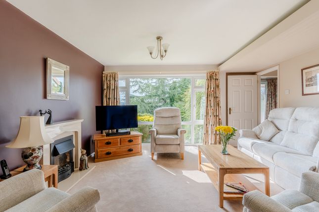 6 The Rowans, Bristol photo 4