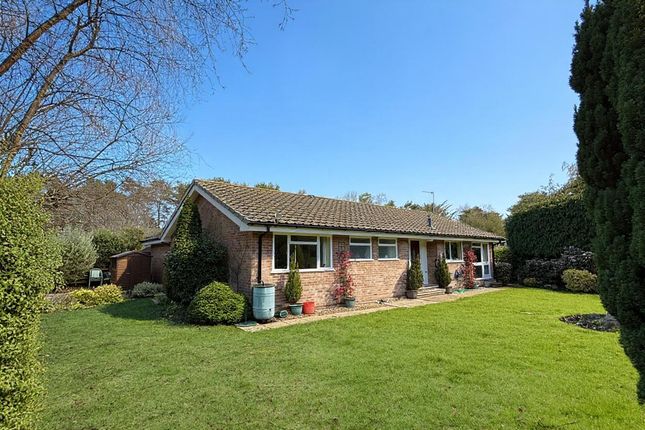 22 Shelley Close, Ashley Heath, Ringwood photo 2