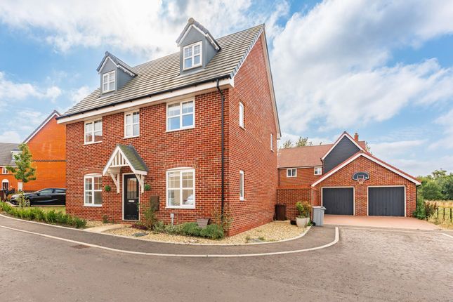 Thumbnail Detached house to rent in Tern Drive, Sprowston