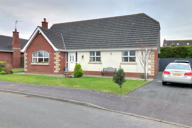 Thumbnail Detached house for sale in 11 Westland Avenue, Ballywalter, Newtownards