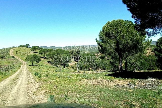 Land for sale in São Bartolomeu De Messines, Portugal