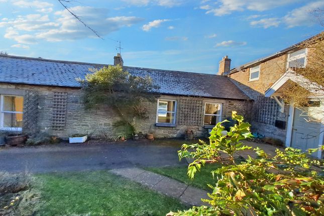 Thumbnail Semi-detached house to rent in Hexham