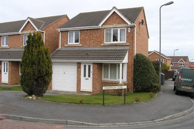Thumbnail Detached house to rent in Chaffinch Close, Hartlepool