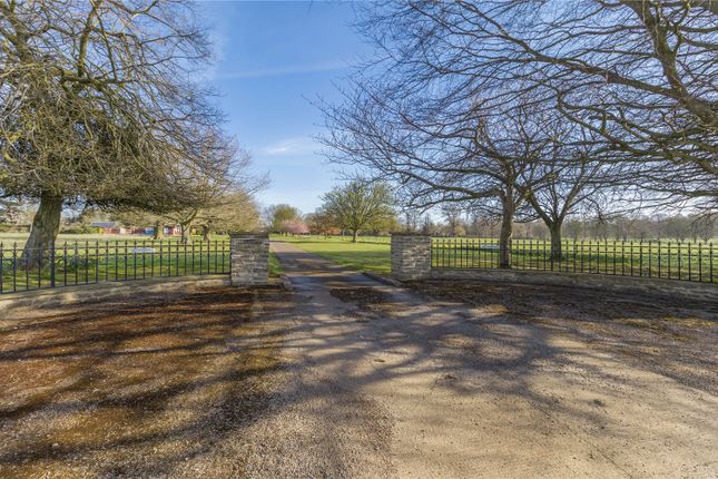 Front Drive