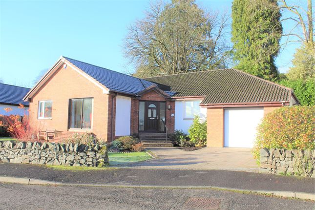 Thumbnail Detached bungalow for sale in 12 Greenwood Close, Moffat