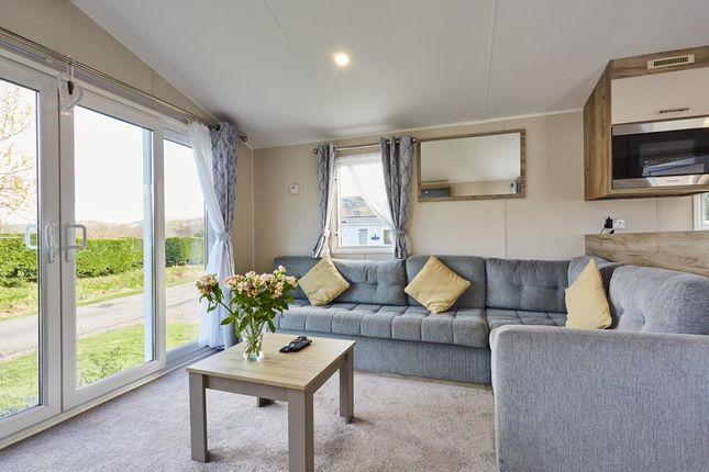 Campsie Glen Holiday Park, Fintry, Glasgow photo 4