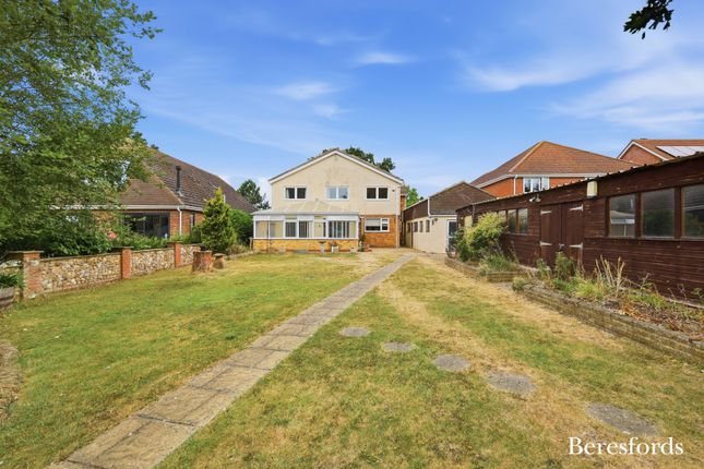 24, Steeple Road, Chelmsford photo 2
